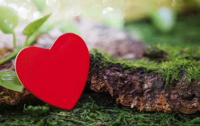 Similar image 21336196