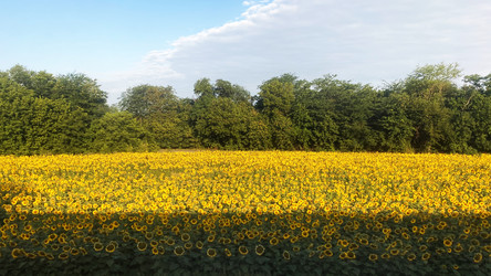 Similar image 21331590