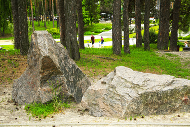 Similar image 21331909