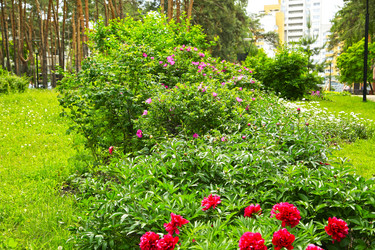 Similar image 21331910