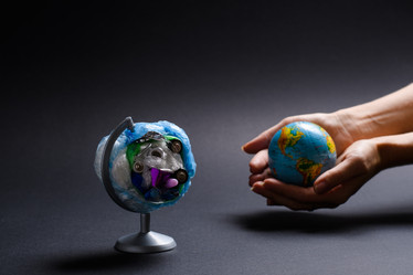 Similar image 21331777