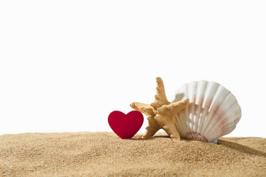 Similar image 21331506