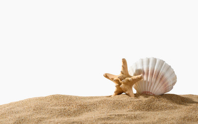 Similar image 21331510