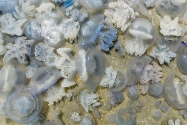 Similar image 21330608