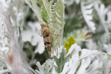 Similar image 21333038