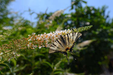 Similar image 21335600