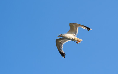 Similar image 21330620