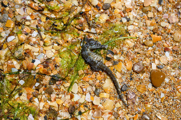 Similar image 21330621