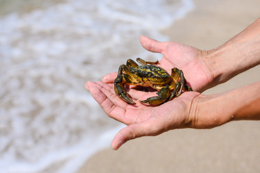 Similar image 21333044