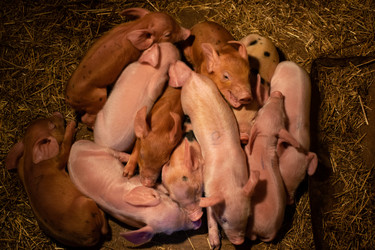 Similar image 21331913