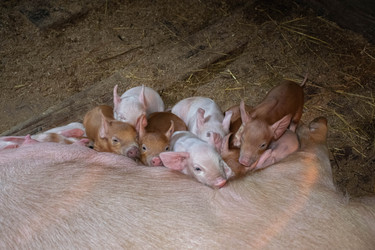 Similar image 21331917