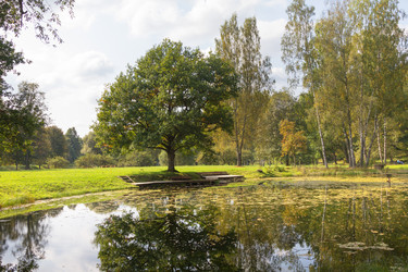 Similar image 21330869