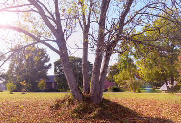 Similar image 21330843