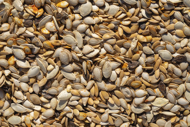 Similar image 21329624