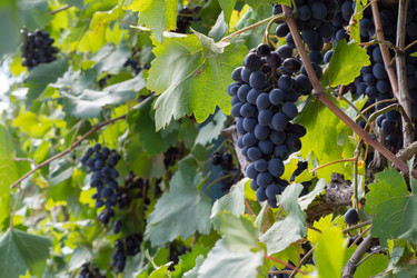 Similar image 21329629