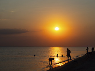 Similar image 21329870