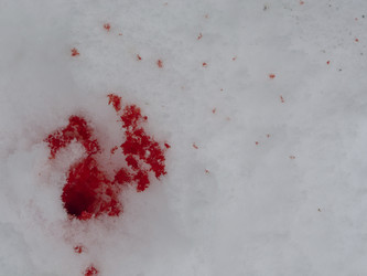 Similar image 21329872