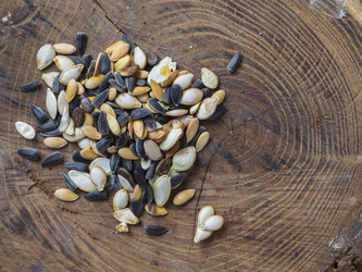 Similar image 21329874