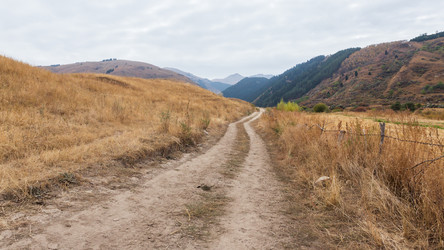 Similar image 21329632