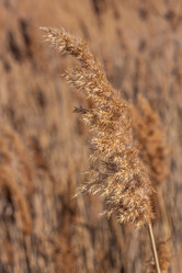 Similar image 21341940