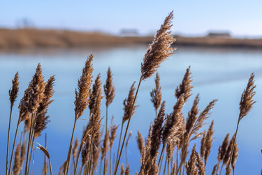 Similar image 21342982