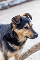 Similar image 21342984