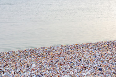 Similar image 21342985