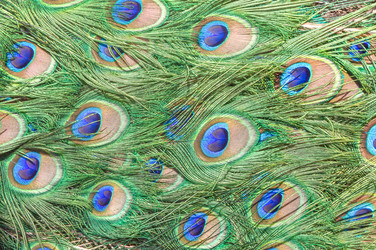 Similar image 21330913