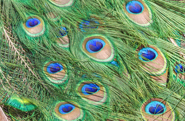 Similar image 21330914