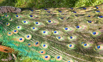 Similar image 21330915