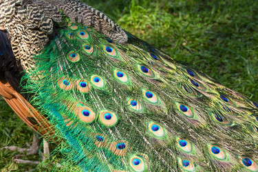 Similar image 21330916