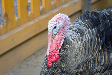 Similar image 21330917