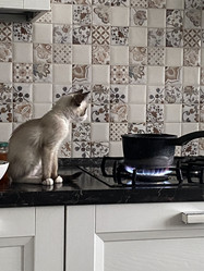 Similar image 21332194