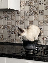 Similar image 21332195