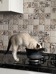 Similar image 21332196