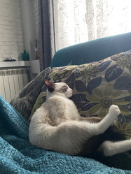 Similar image 21332198