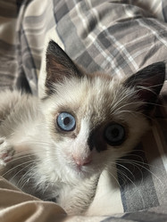 Similar image 21332199