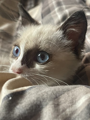 Similar image 21332200