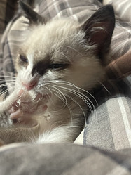 Similar image 21332202