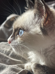 Similar image 21332204