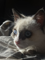 Similar image 21332205