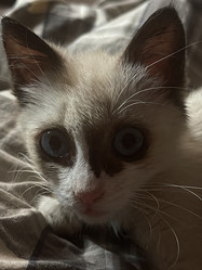 Similar image 21332206