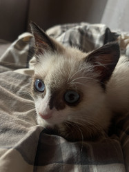 Similar image 21332207