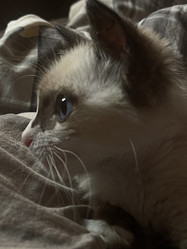 Similar image 21332208