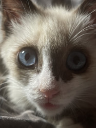 Similar image 21332209