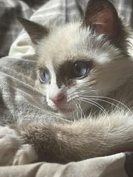 Similar image 21332211