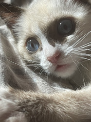 Similar image 21332213