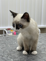 Similar image 21332215