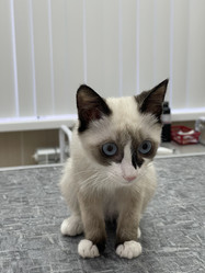 Similar image 21332216