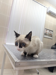 Similar image 21332217